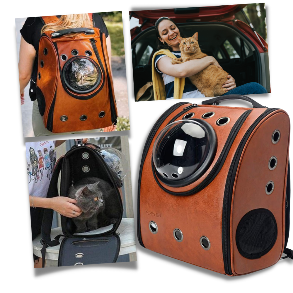 Cat Travel Backpack - Ozerty